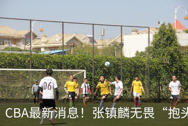 CBA最新消息！张镇麟无畏“抱头哥”称谓，辽宁助教加盟浙江，广厦续约布朗